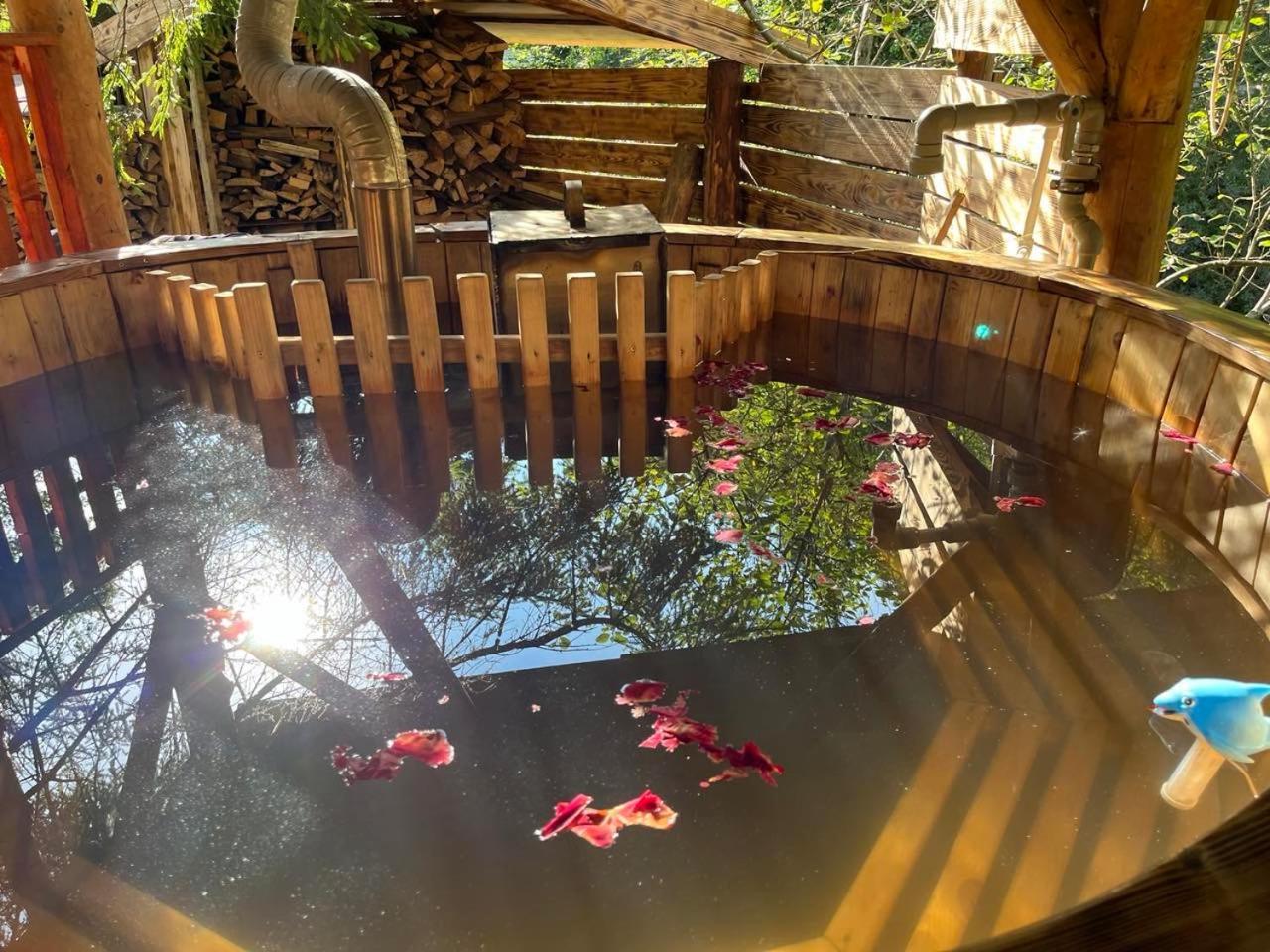 Zarinok Otel Pilipets Dış mekan fotoğraf