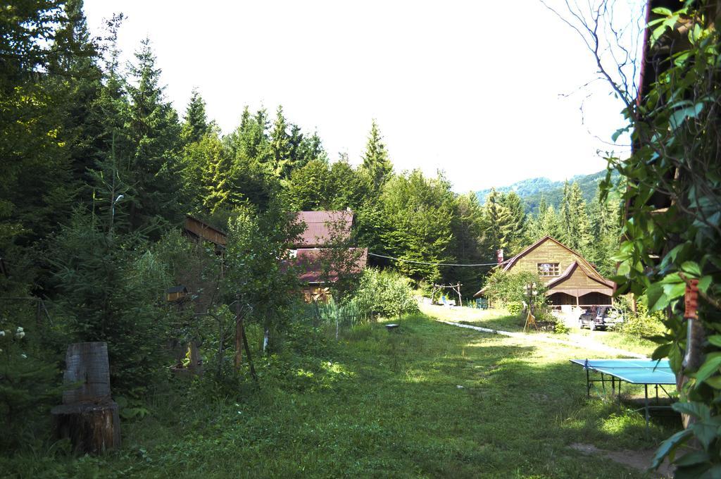 Zarinok Otel Pilipets Dış mekan fotoğraf